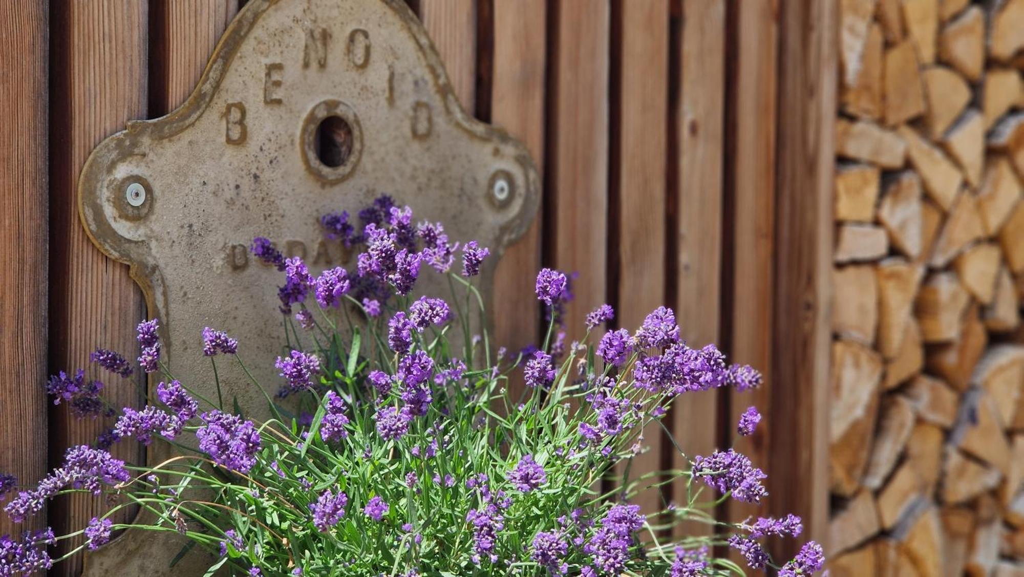 Nostalgie Bed & Breakfast Chraemerhus Curaglia Exterior foto